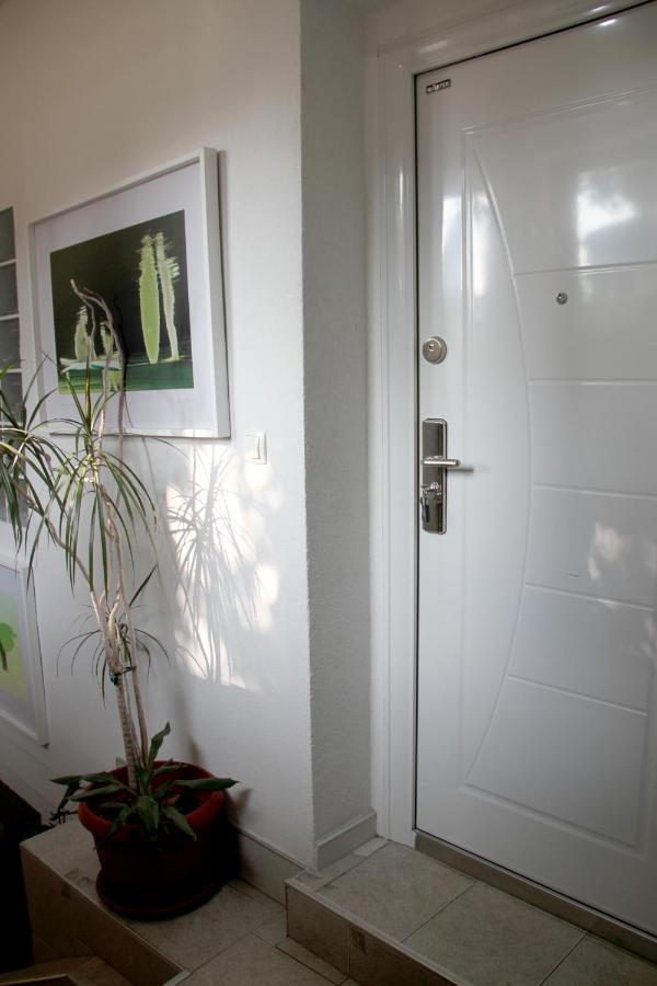 Downtown Green Oasis Apartments SJJ Eksteriør billede
