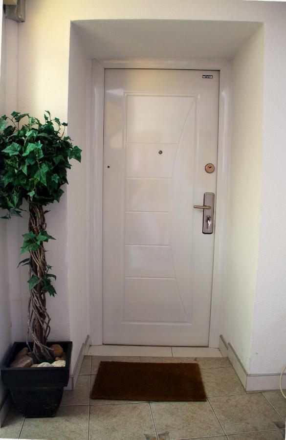 Downtown Green Oasis Apartments SJJ Eksteriør billede