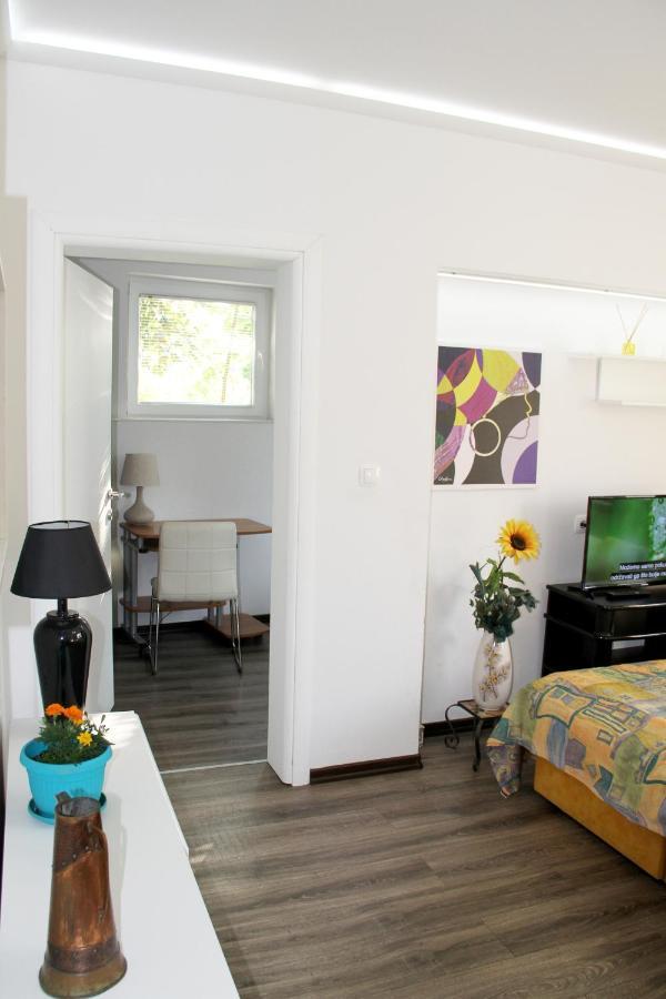 Downtown Green Oasis Apartments SJJ Eksteriør billede